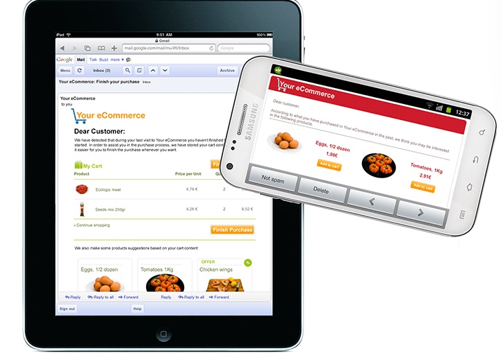 email_retargeting_brainsins