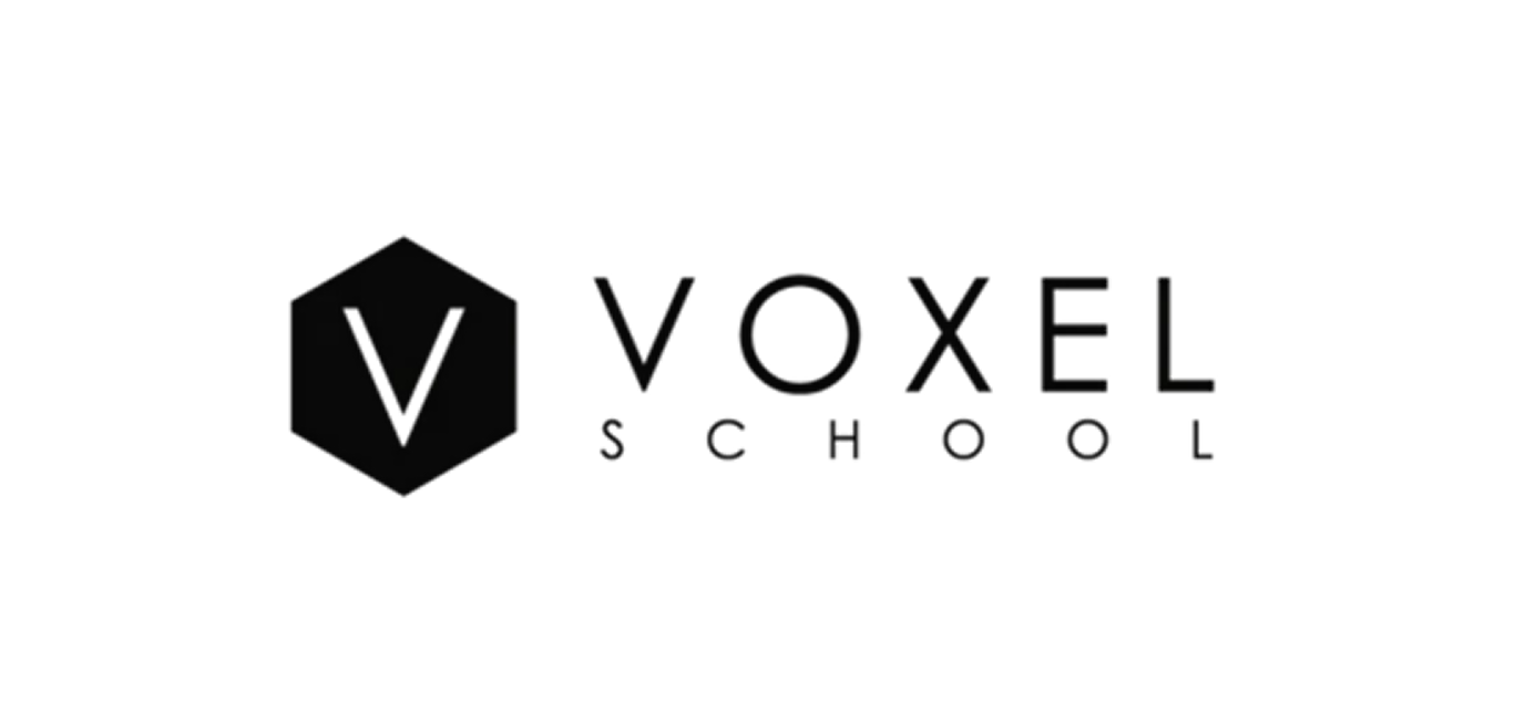 Voxel School